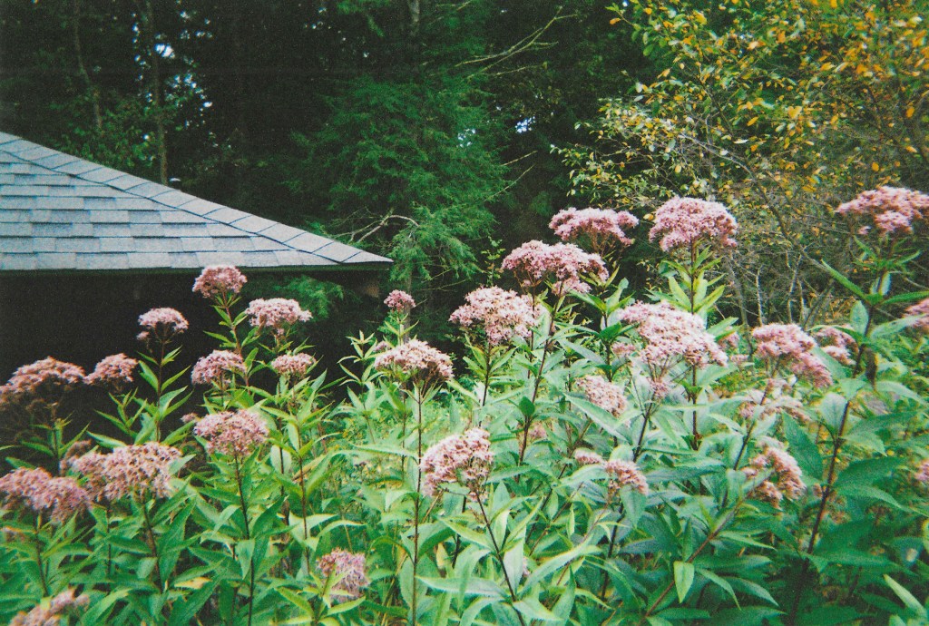 What can we&nbsp;do?