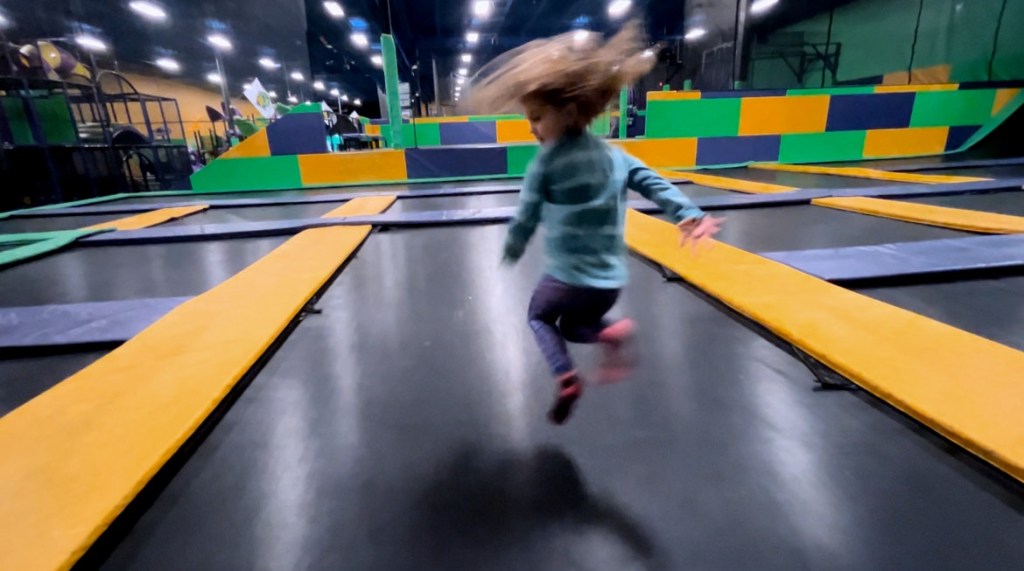 A bird-filled morning